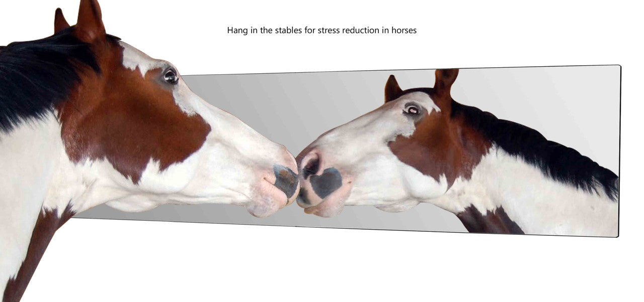 24" x 48" Acrylic Mirror Sheet for Replacement Glass Mirrors