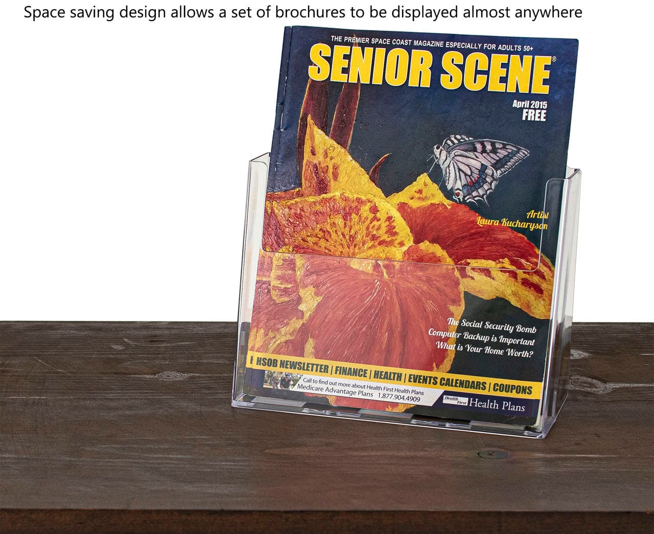 Eight and a half Magazine Catalog Holder Slant Back Countertop Organizer