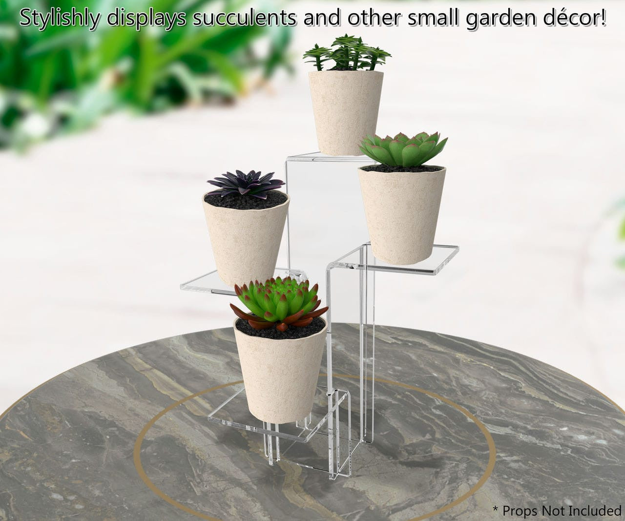 Stylishly displays succulents and other small garden décor