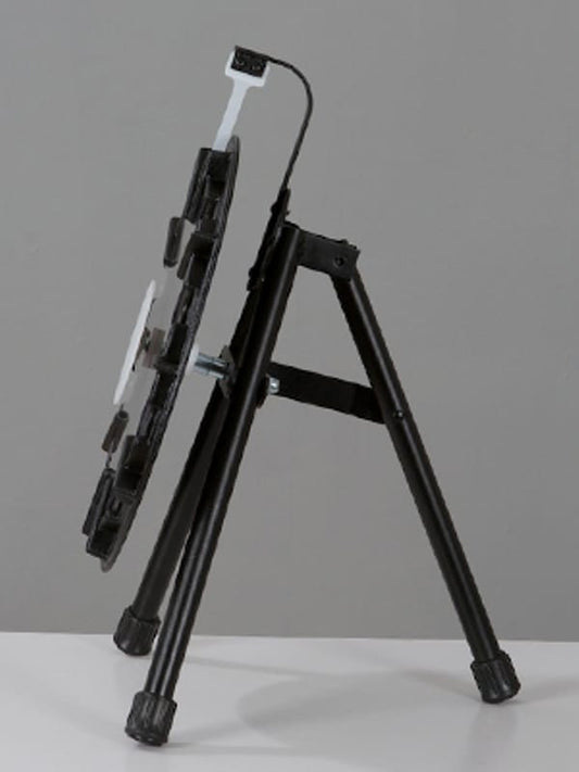 10 Slot Prize Wheel 14" Micro Tabletop Game Events Parties