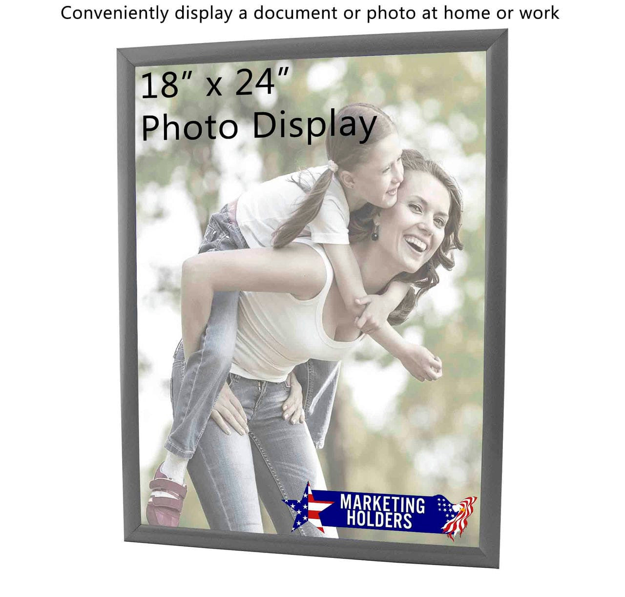 18" x 24" Poster Frame Graphic Image Photo Holder Wall Display