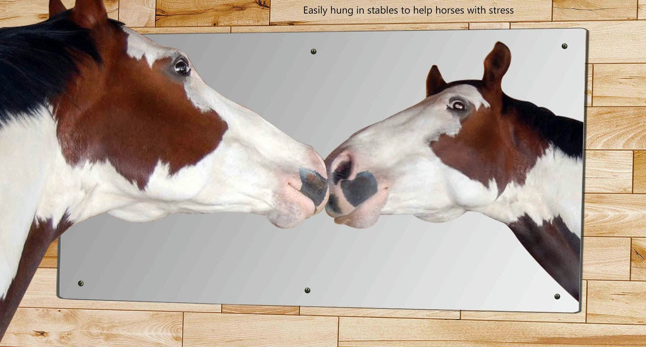 24" x 48" Acrylic Mirror with Holes for Replacement Glass Mirrors