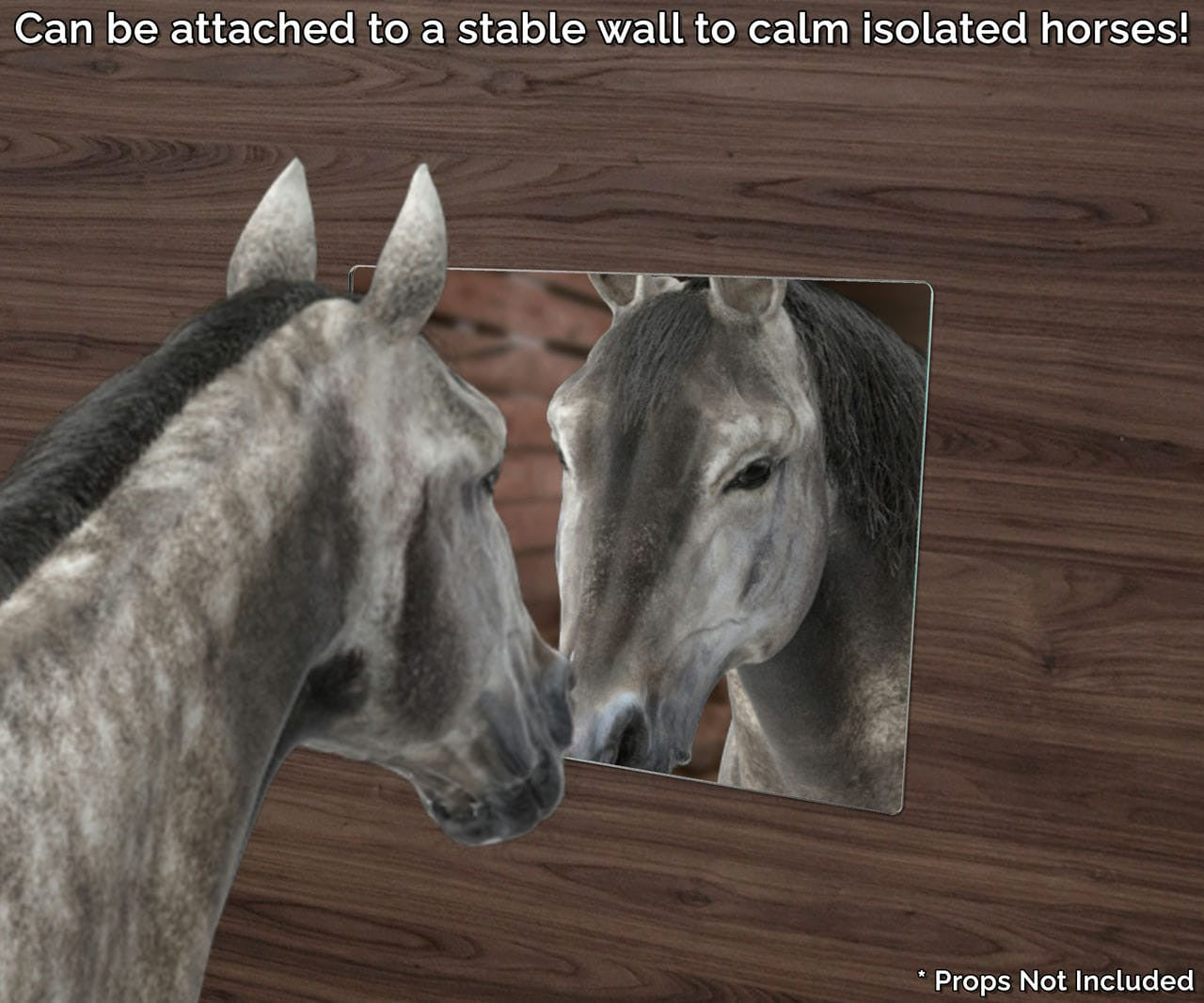 Can be attached to a stable wall to calm isolated horses