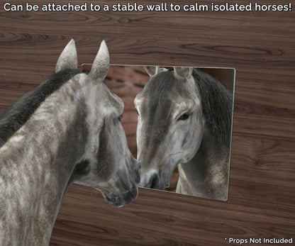 8.5" x 11" Acrylic Mirror Sheet RV Camper Motor Home Boat DIY