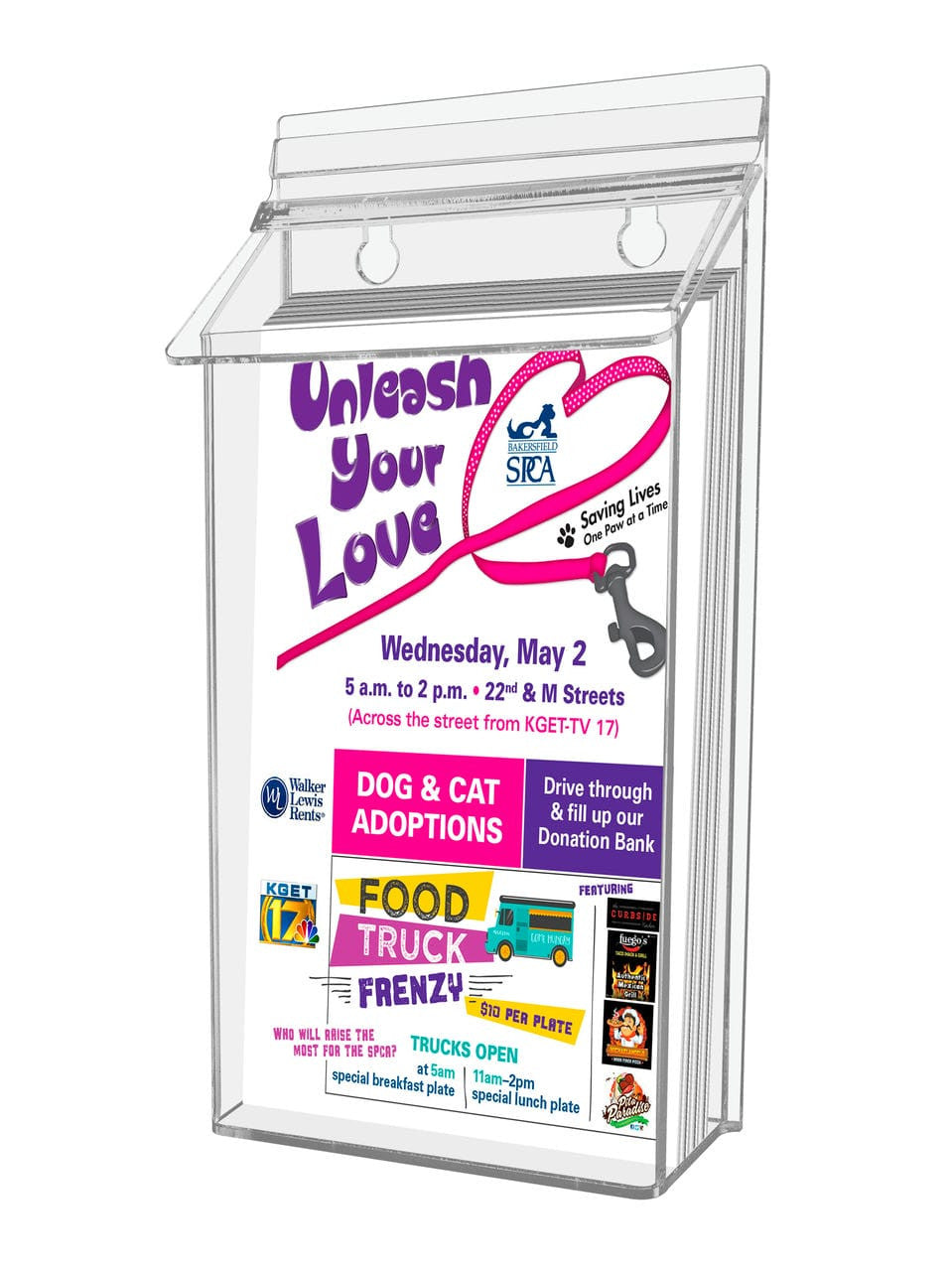 Pamphlet in Bifold Brochure Holder Bin