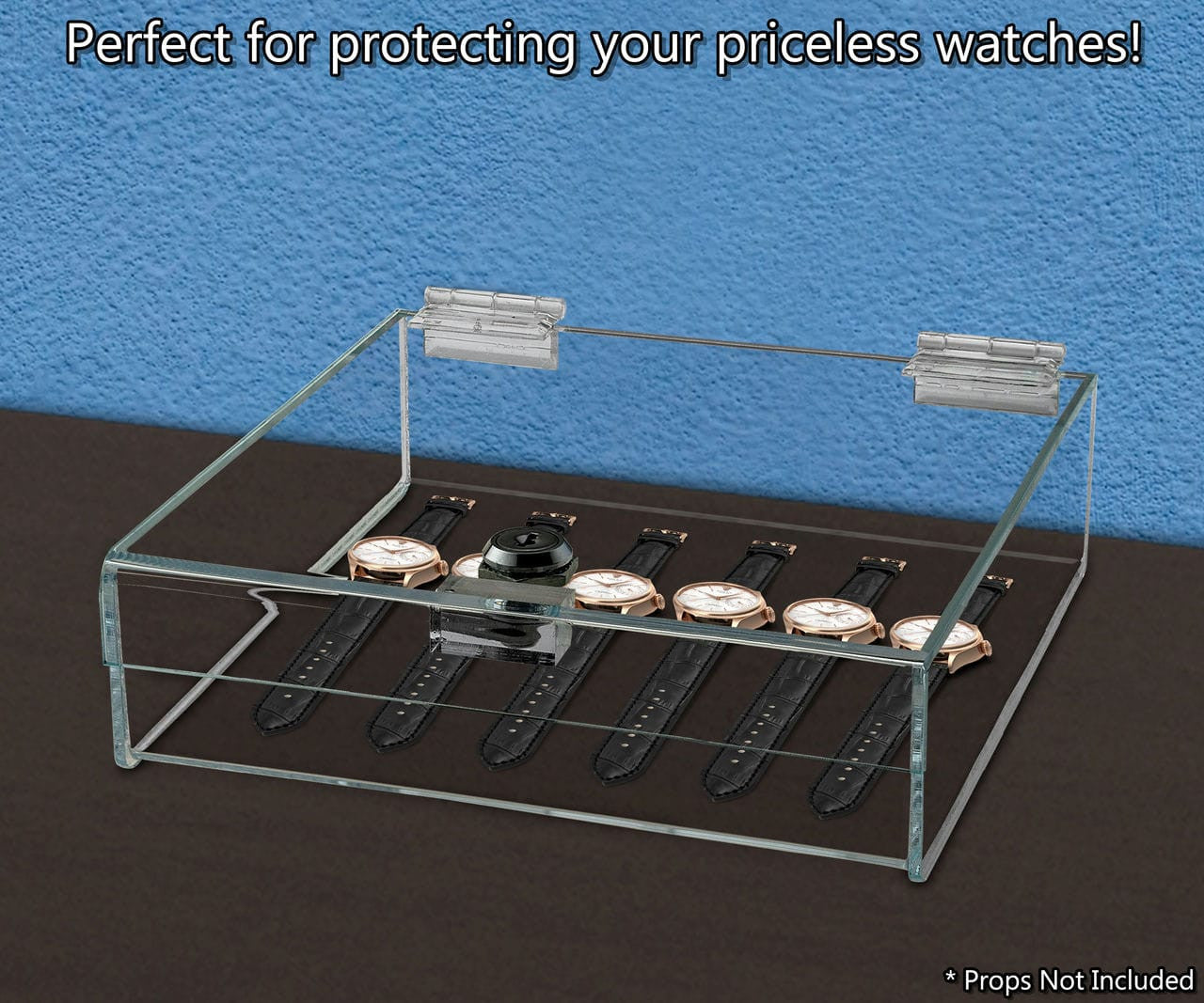 9"W x 9"D x 2"H Acrylic Locking Display Case with Lid and Keys