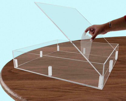 False bottom tray lifted