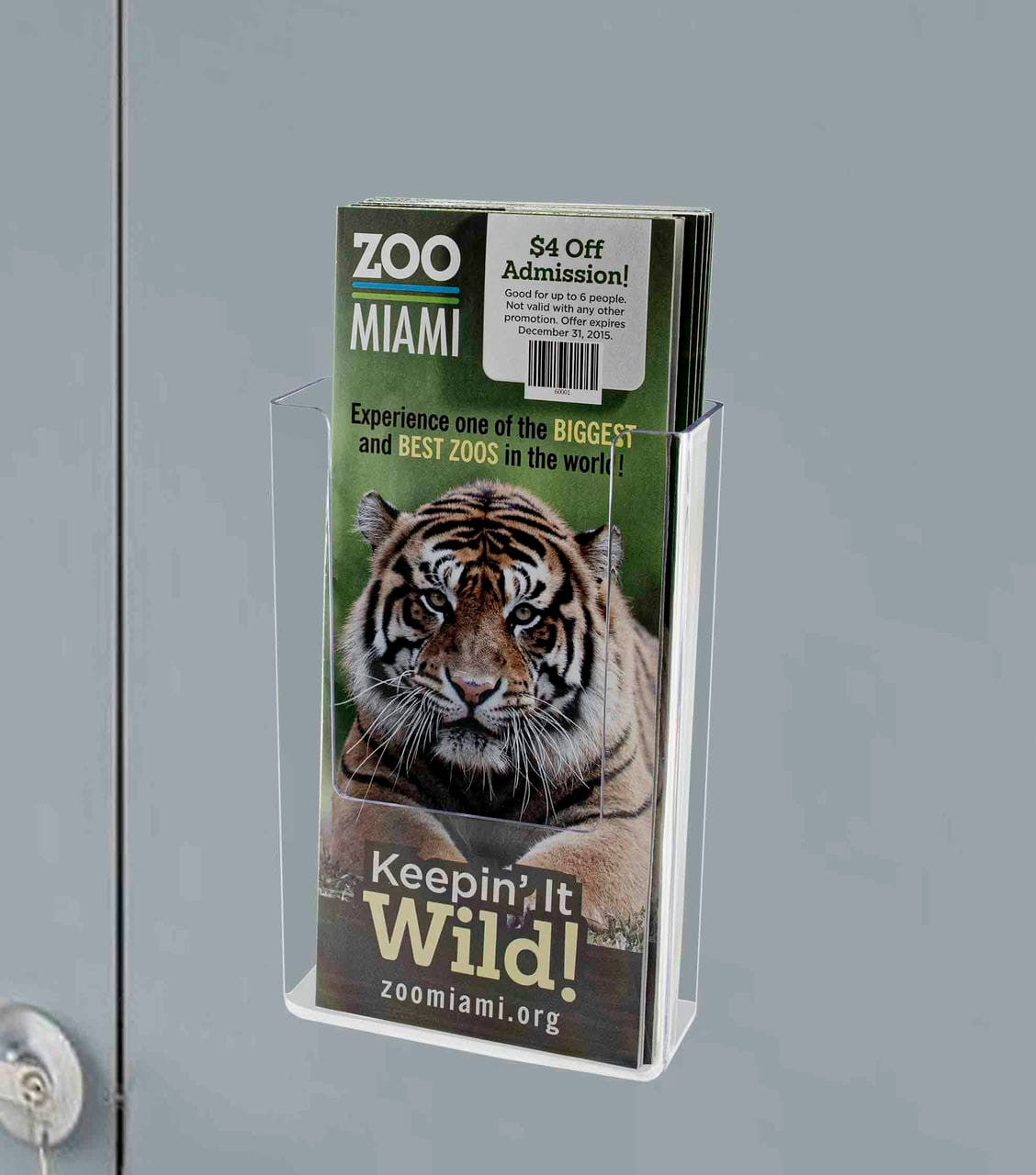 Magnetic literature holder with trifolds  on a metal surface