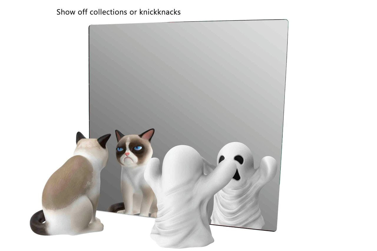 Mirror Sheet DIY Projects Glass Replacement Acrylic with a ghost and kitty cat in the reflection with Ghost