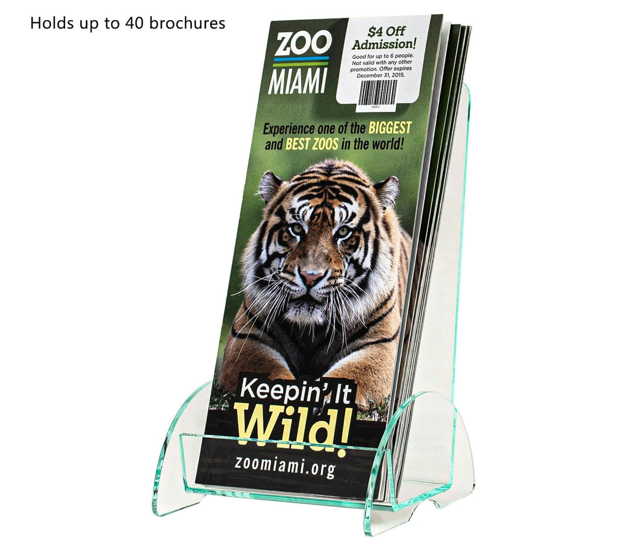 4"W Euro Style Trifold Brochure Holder Countertop Display