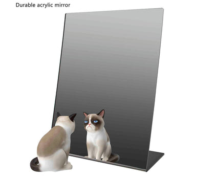 Twelve by Eighteen Slant Back Acrylic Vanity Mirror Countertop with Grumpy Cat