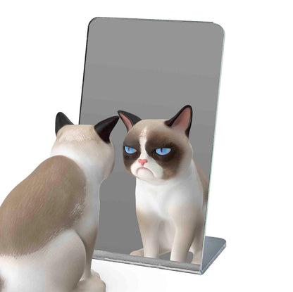 Three by Five Slant Back Mirror Countertop Acrylic Gym Vanity