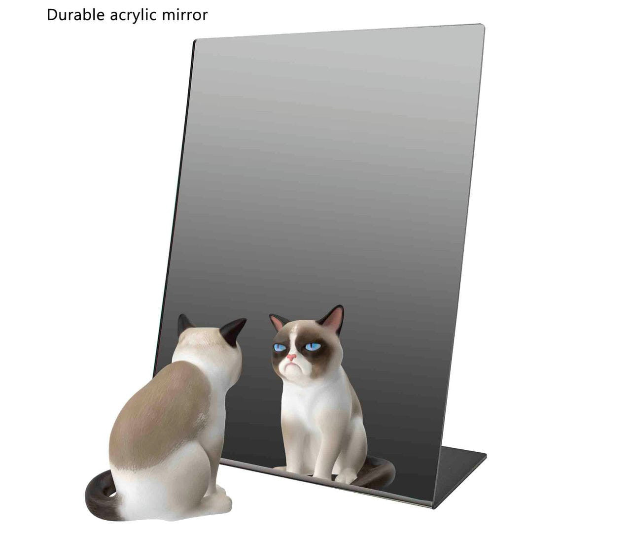 Nine by Twelve Slant Back Acrylic Mirror Gym Vanity Locker Tabletop Grumpy Cat