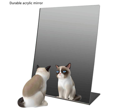 Nine by Twelve Slant Back Acrylic Mirror Gym Vanity Locker Tabletop Grumpy Cat